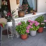Siesta