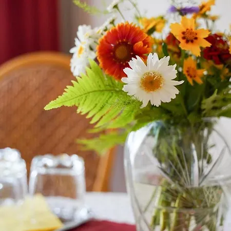 Vakantiehuis Siesta Vendeghaz