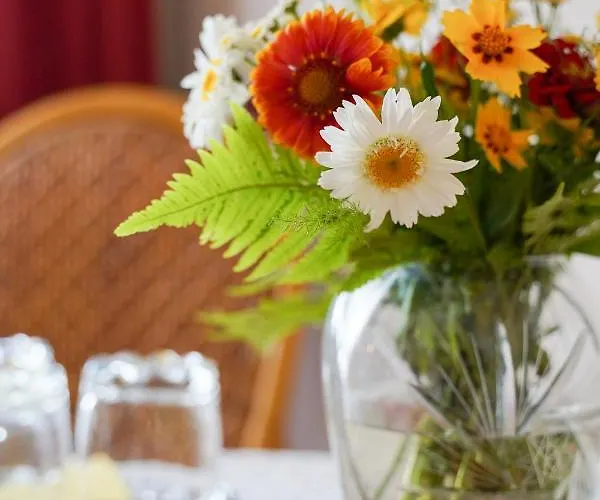 Semesterbostad Siesta Vendeghaz