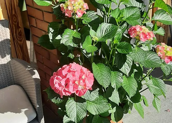 Siesta Vendeghaz * Eger