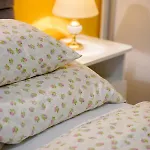 Feriehus Siesta Vendeghaz *