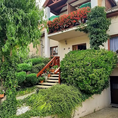 Siesta Vendeghaz Eger