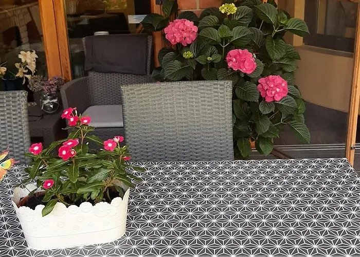 Siesta Vendeghaz Eger